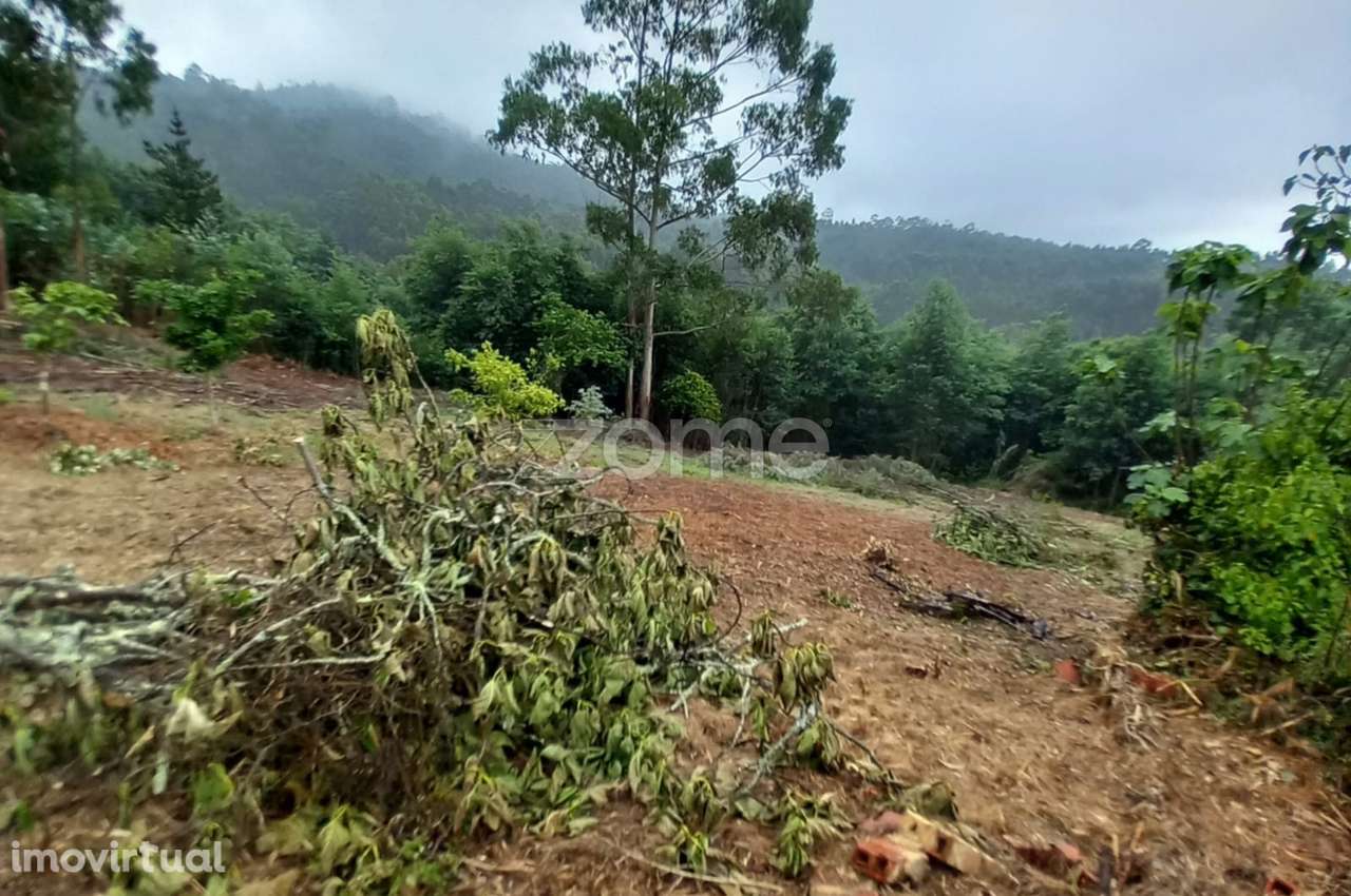 Terreno, 1 350 m², Luso - Grande imagem: 3/15