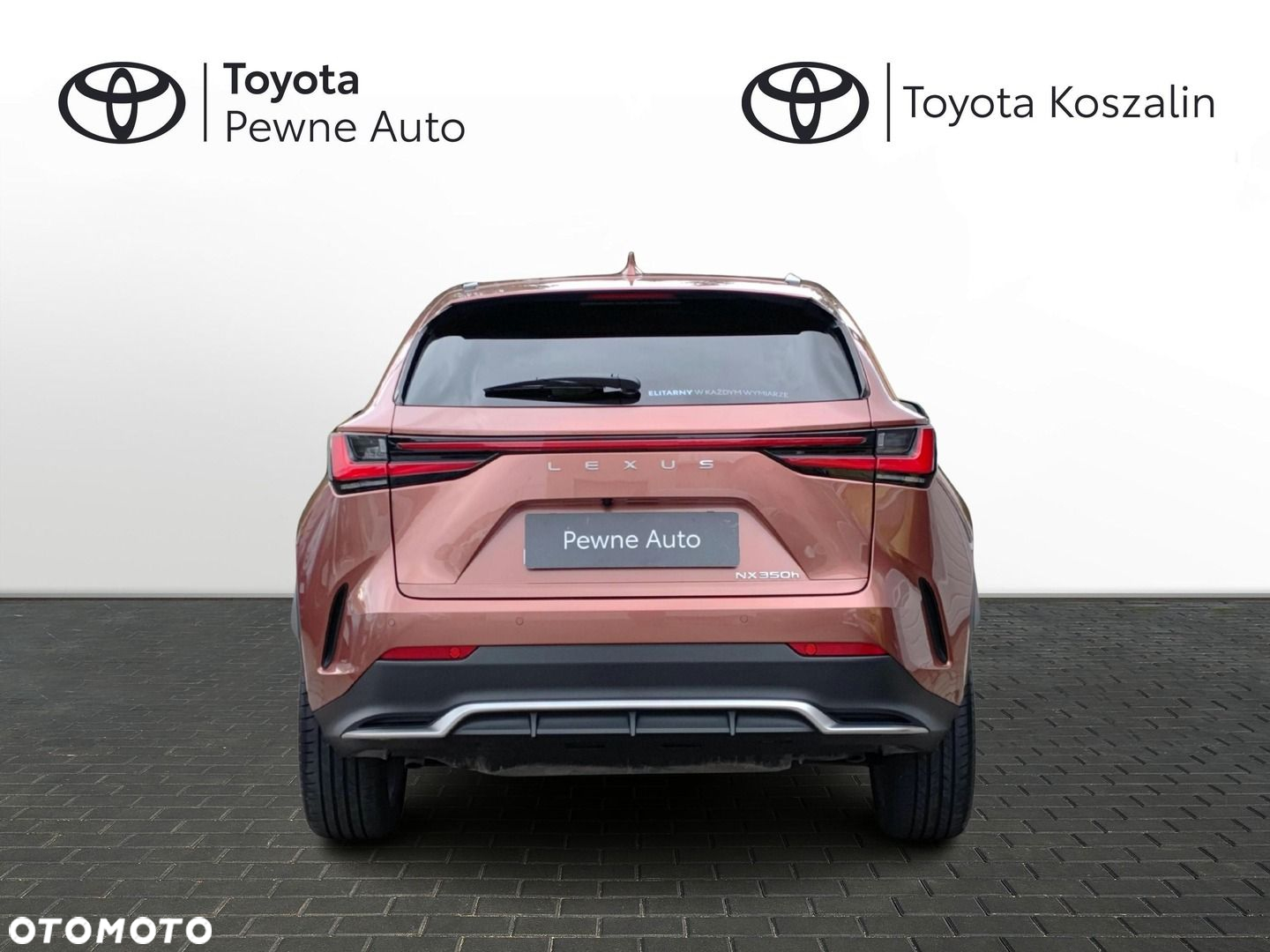 Lexus NX 350h F Sport AWD - 4