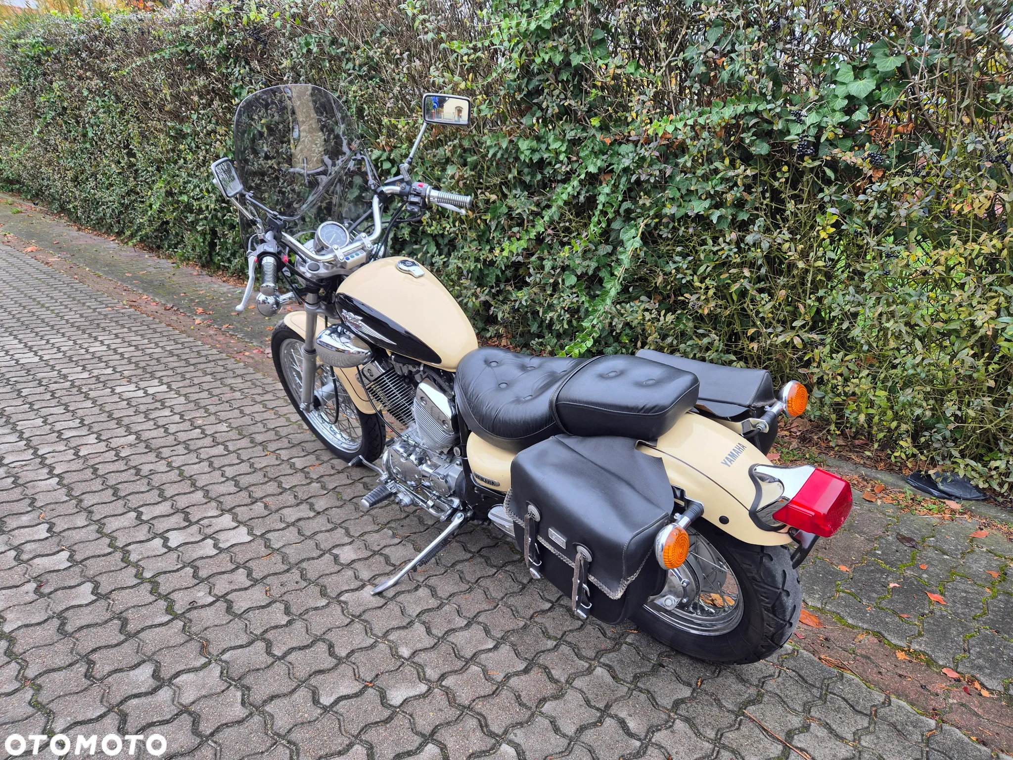 Yamaha Virago - 3