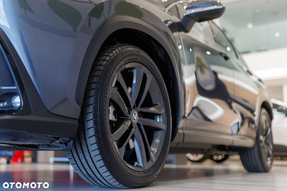 Lexus NX - 13
