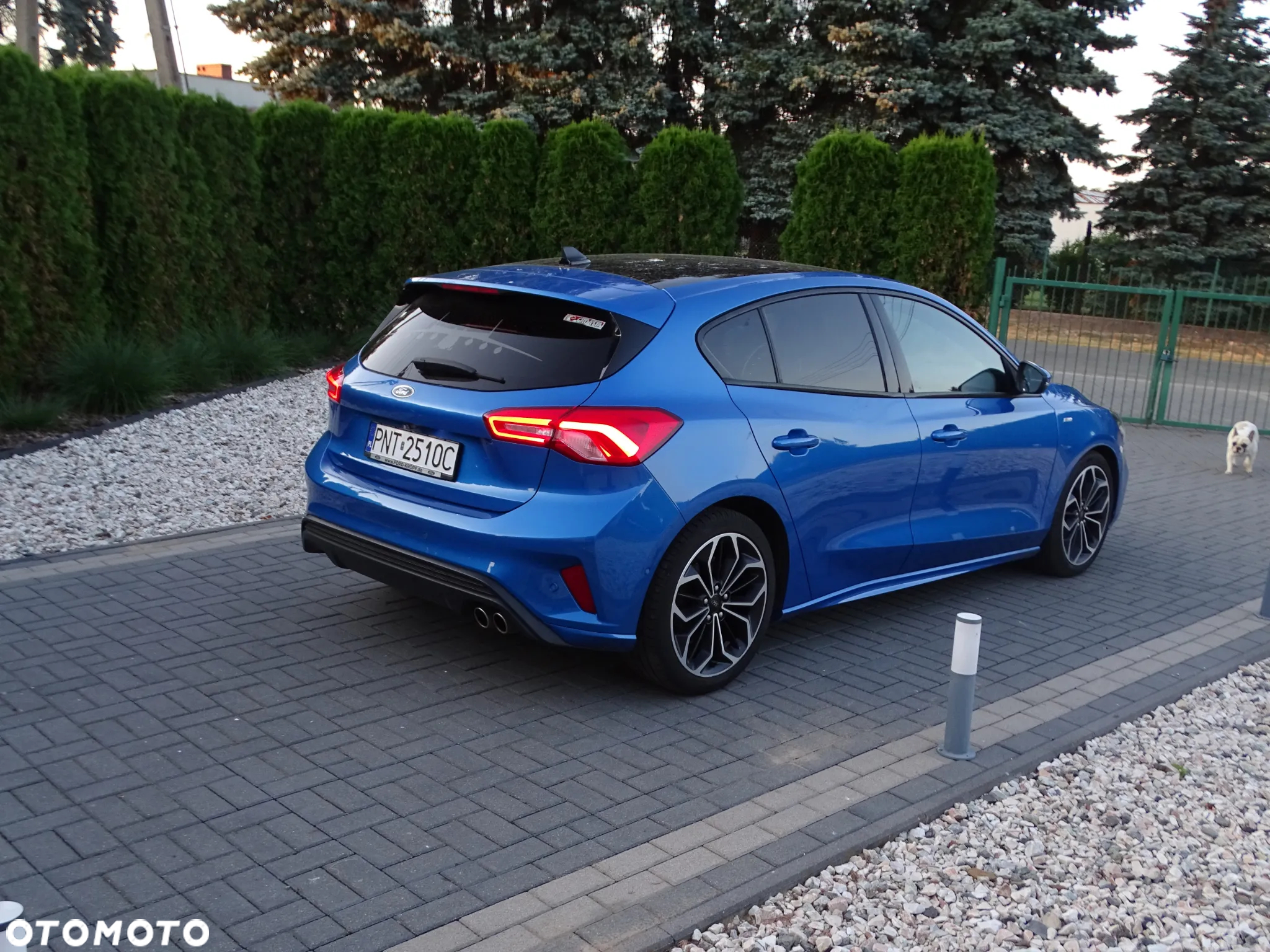 Ford Focus 1.5 EcoBlue Start-Stopp-System ST-LINE DESIGN - 3