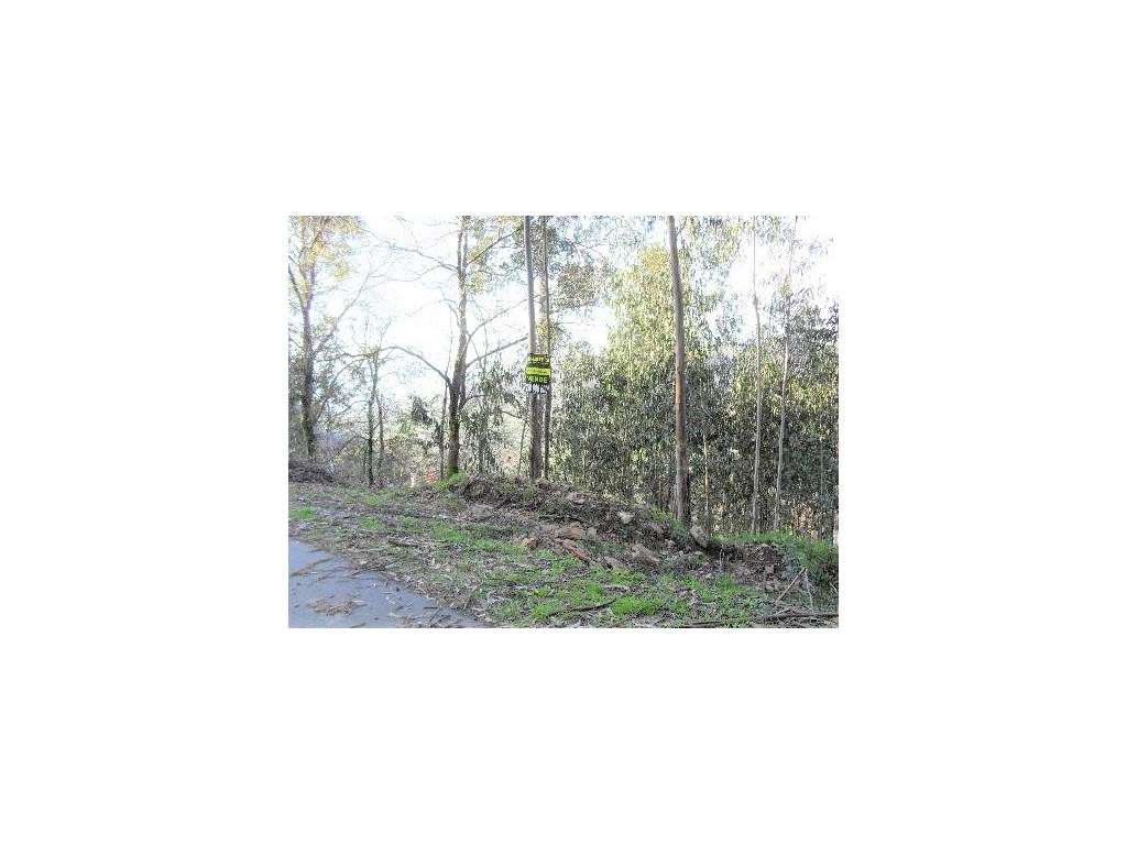 Terreno de Construção em Serdedelo - Grande imagem: 2/6