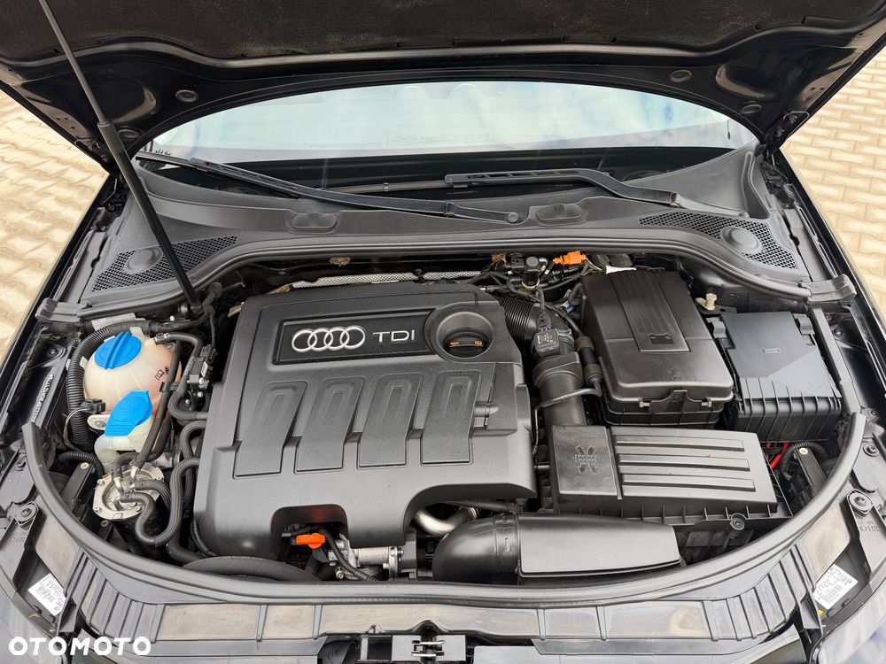 Audi A3 Sportback 1.6 TDI Attraction - 19