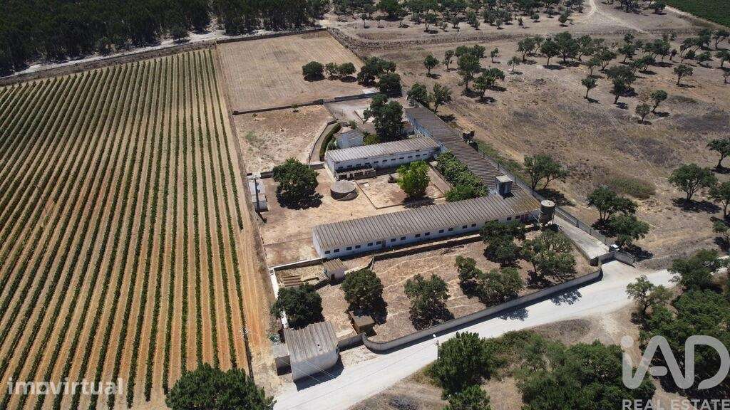 Terreno em Quinta do Anjo - Grande imagem: 4/16