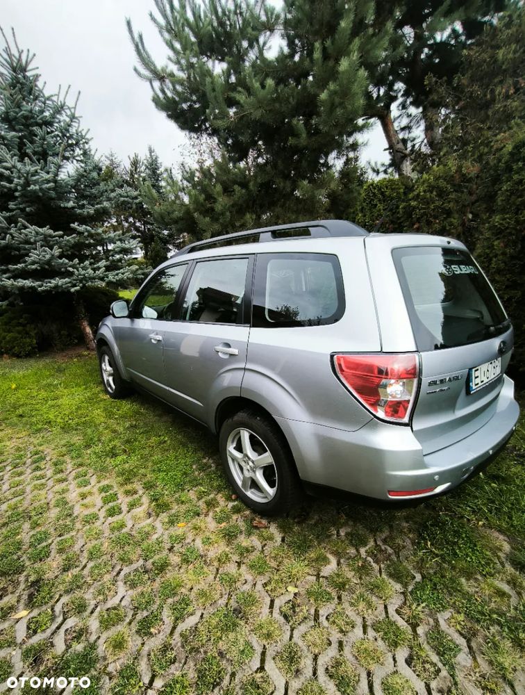 Subaru Forester - 23