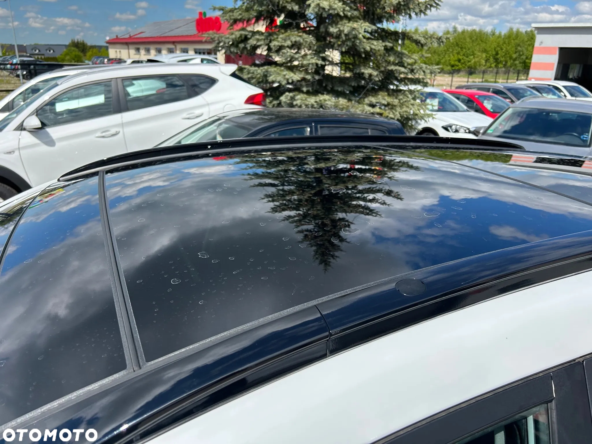 Hyundai Tucson 1.6 CRDi 48V-Hybrid 2WD DCT Prime - 8