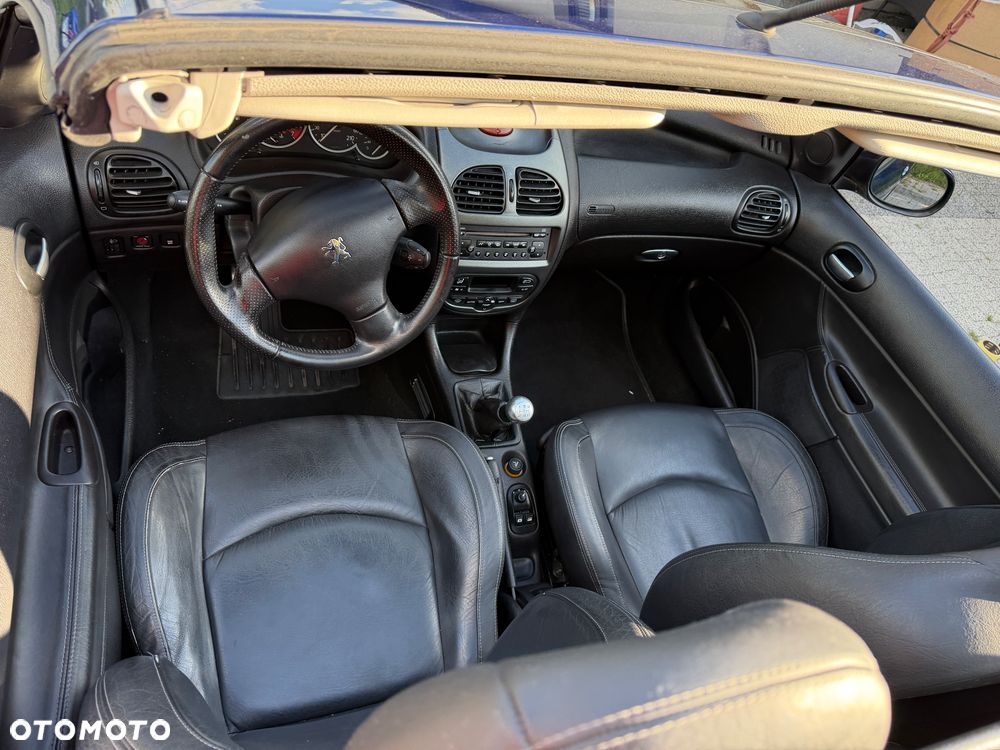 Peugeot 206 CC 110 Platinum - 10
