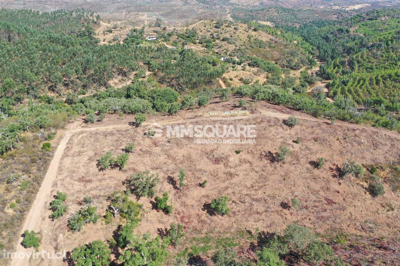 Terreno Rústico  Venda em Ourique,Ourique - Grande imagem: 4/11