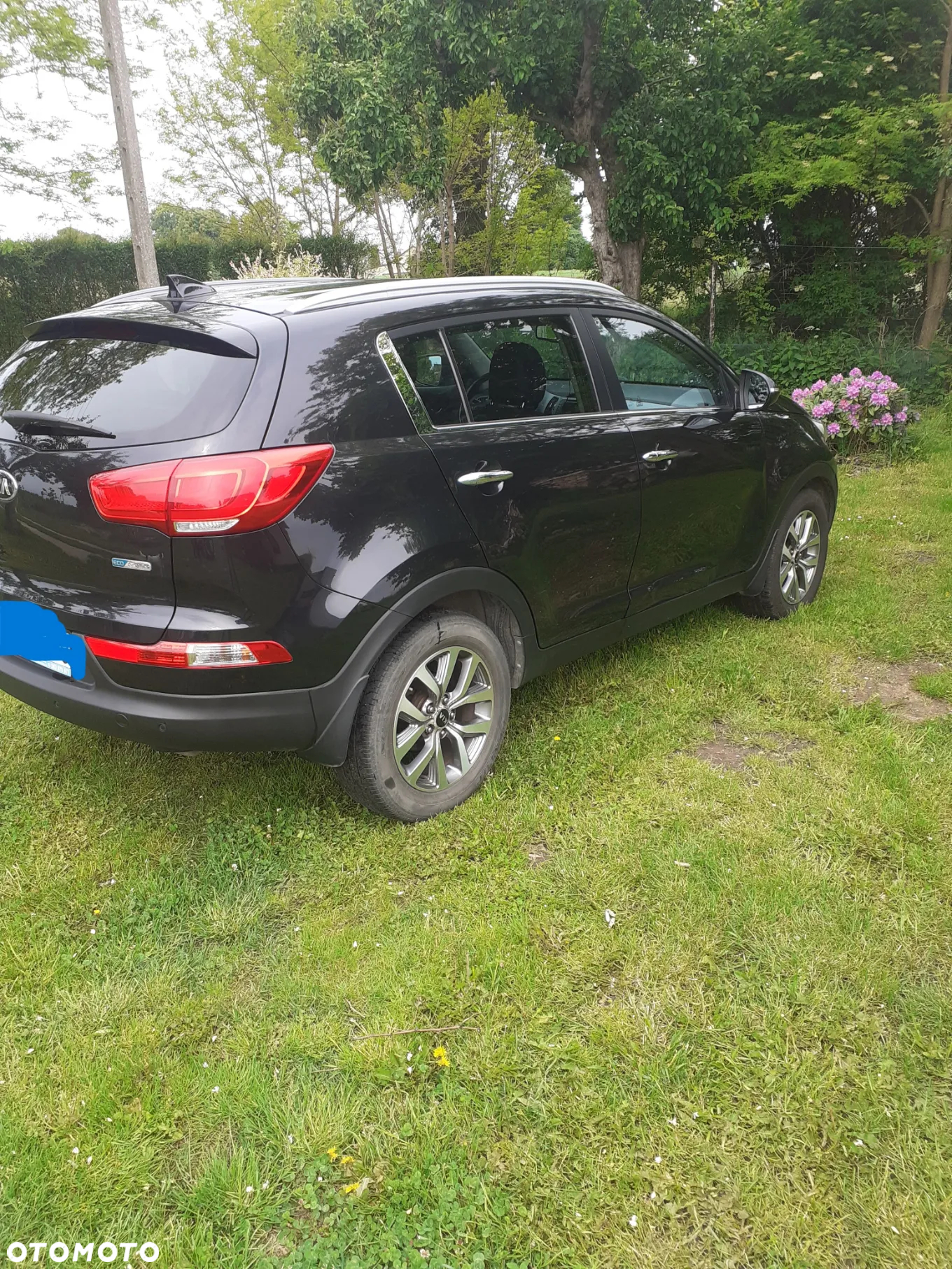 Kia Sportage - 16
