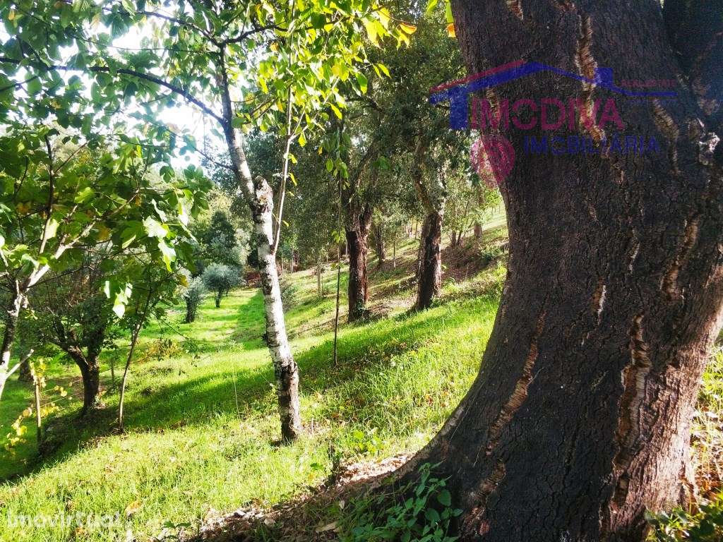 Terreno com 1790m2 em Pedrógão Grande - Grande imagem: 5/14