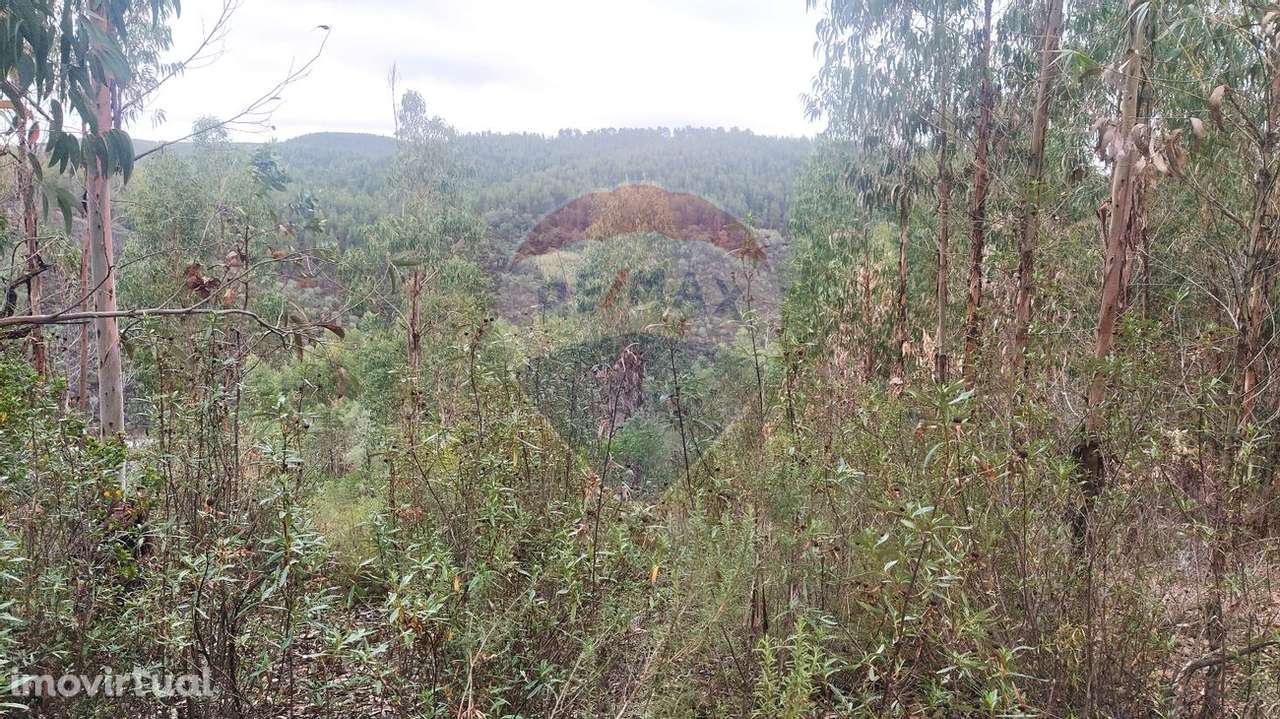 Terreno  para venda - Grande imagem: 2/15