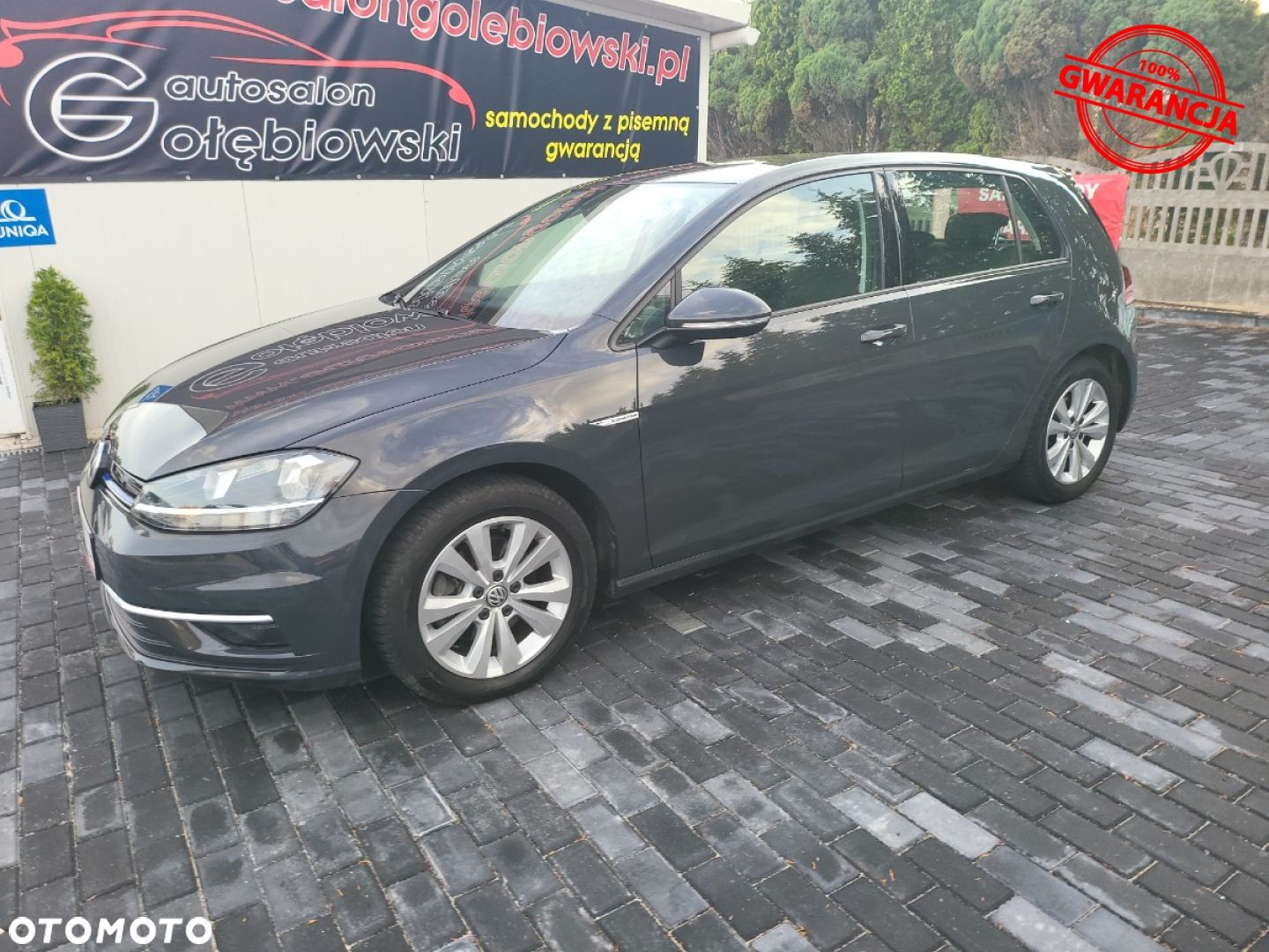 Volkswagen Golf - 3