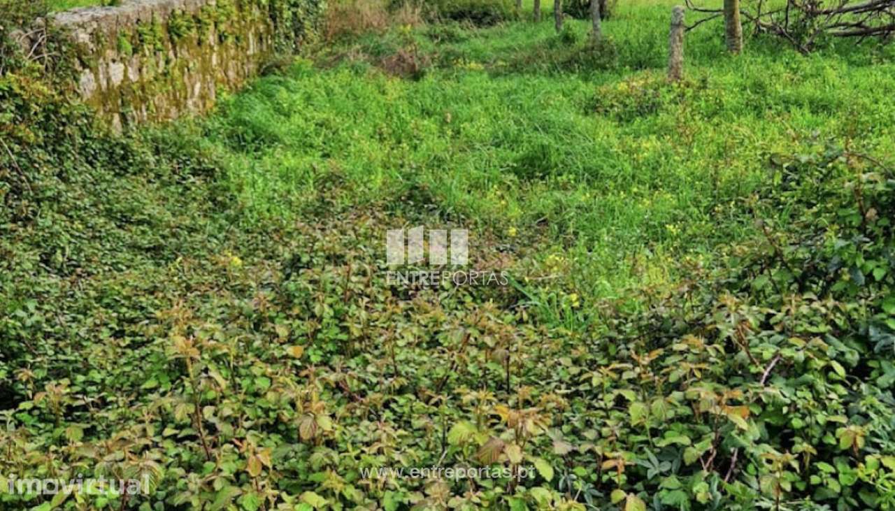 Venda de Terreno, Cardielos, Viana do Castelo - Grande imagem: 4/20