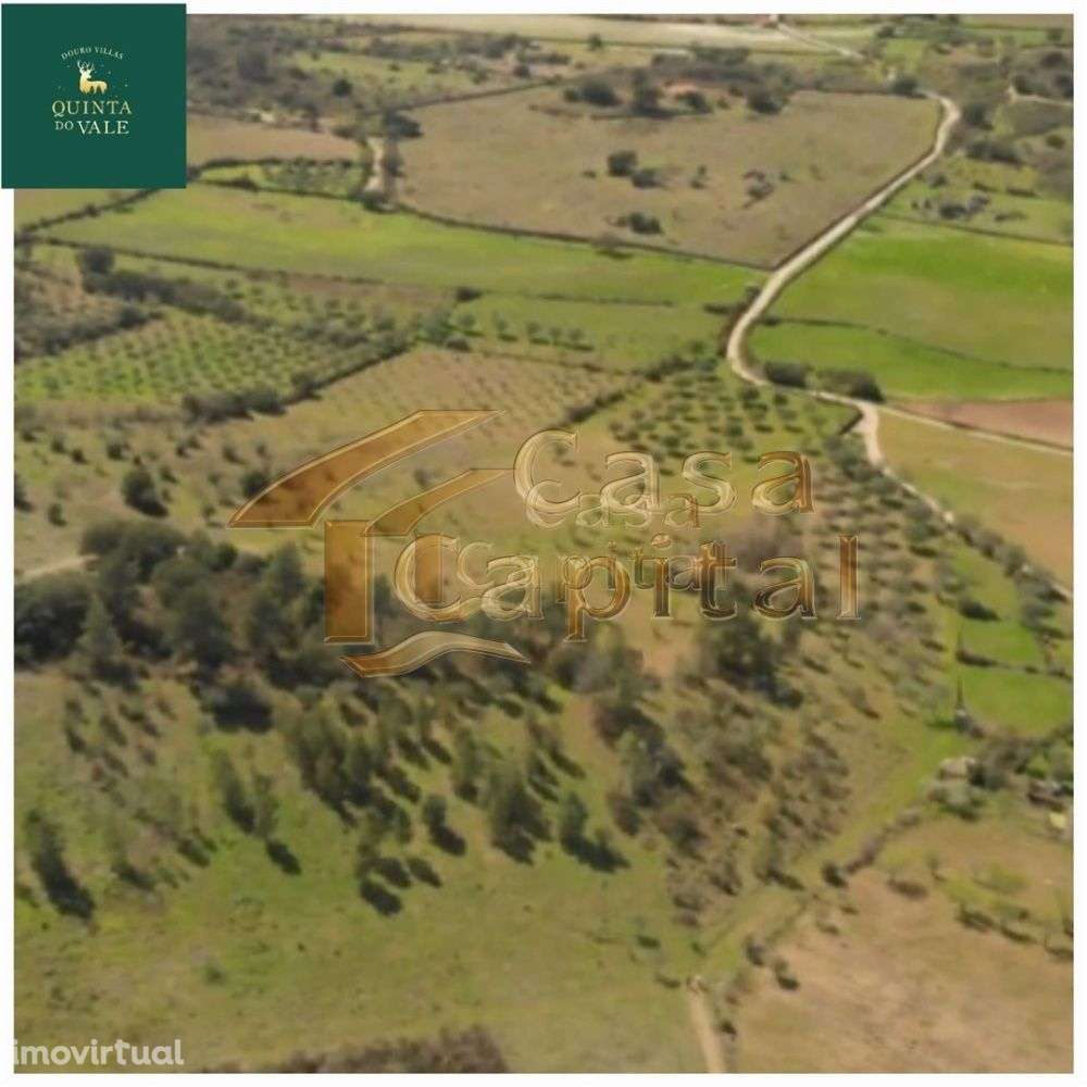 Quinta localizada na região nobre do Rio Douro Superior em Foz Côa - Grande imagem: 3/24