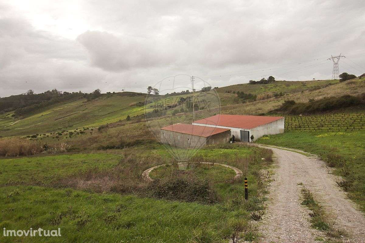 Armazém  para arrendamento - Grande imagem: 5/9