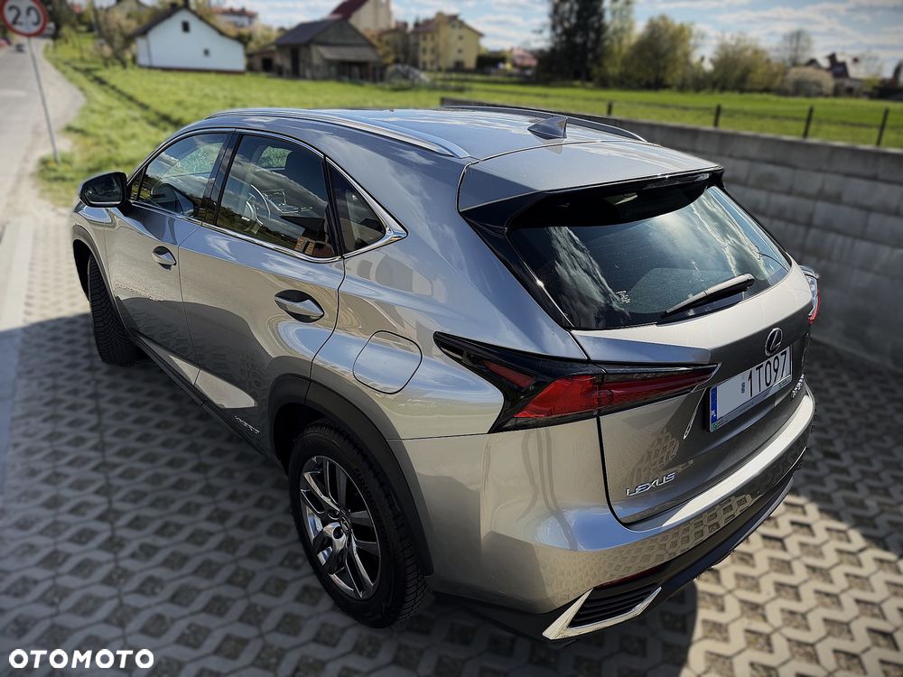 Lexus NX 300h Business Edition AWD - 6