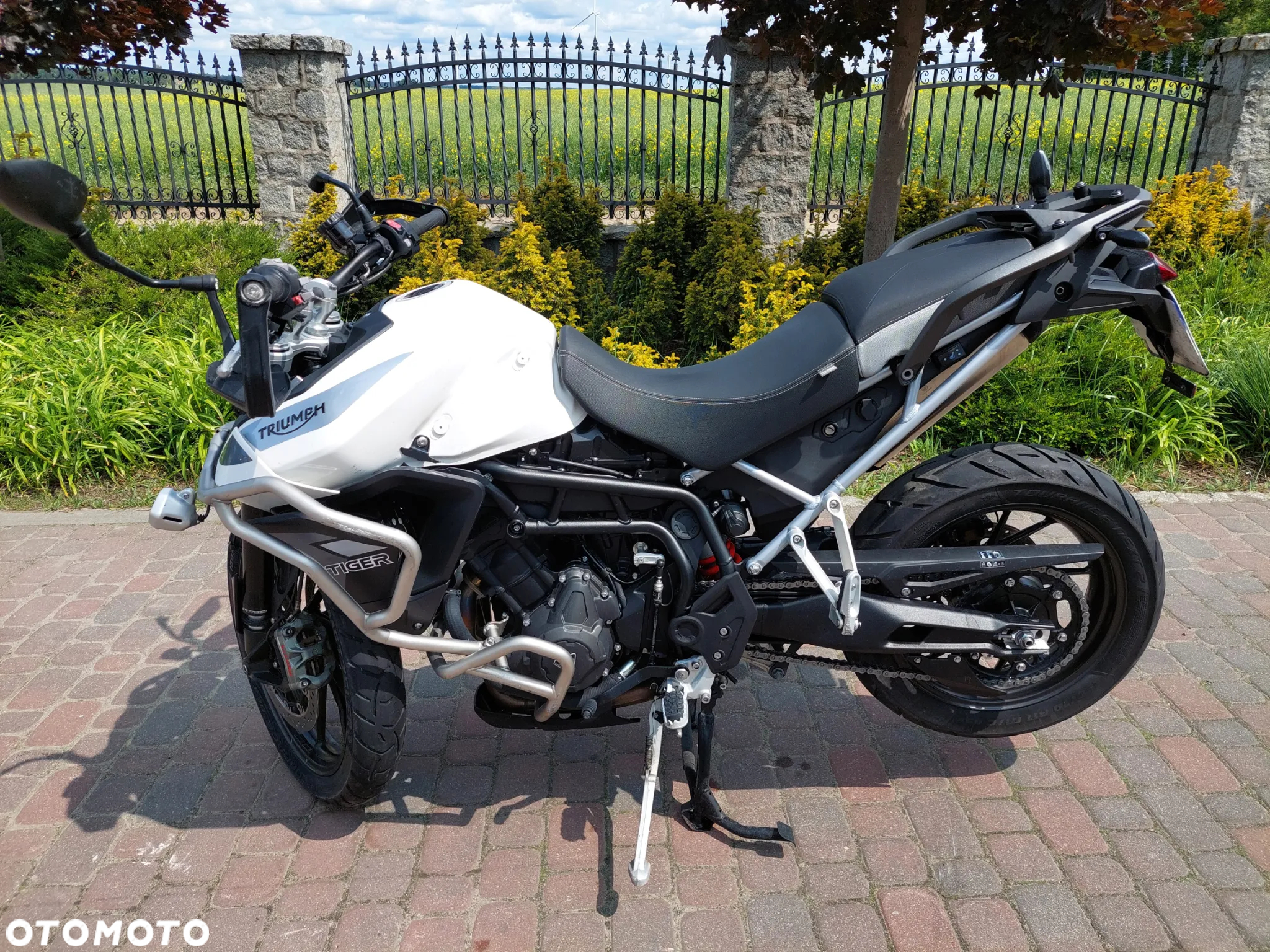 Triumph Tiger - 3