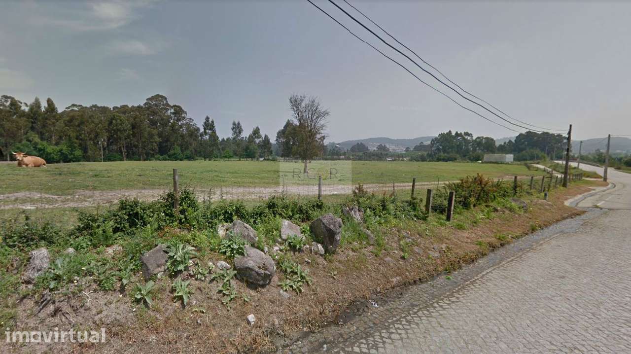 Terreno de 59.000m2 para construção à BIAL - Grande imagem: 5/8
