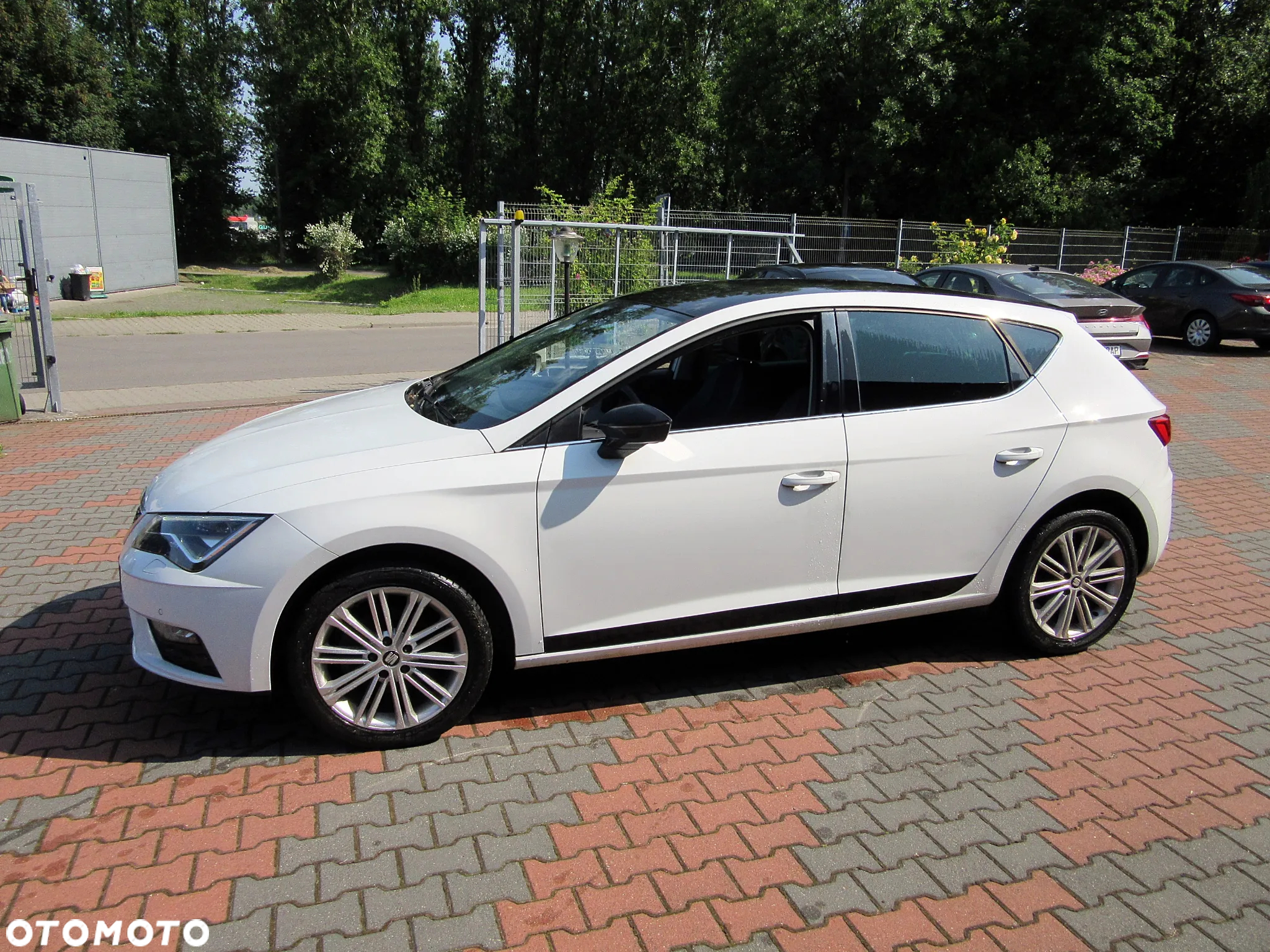 Seat Leon 1.5 EcoTSI Evo FR Black S&S - 13