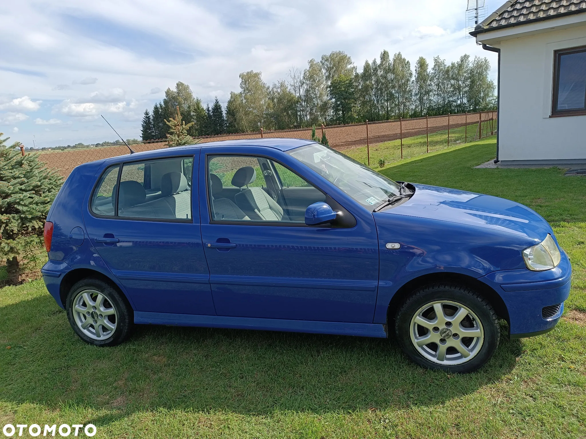 Volkswagen Polo - 6