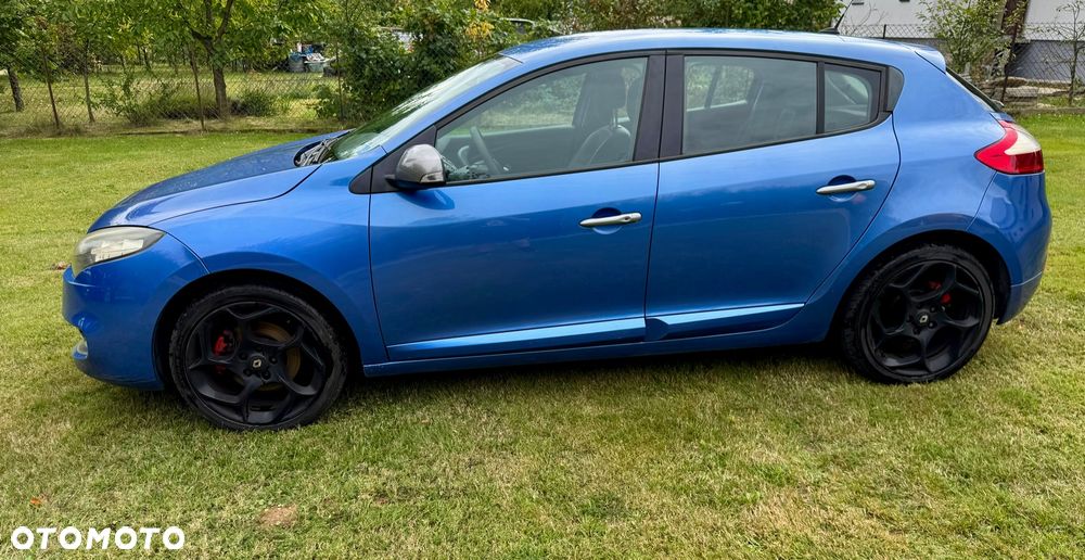 Renault Megane 2.0 16V TCE Privilege - 1