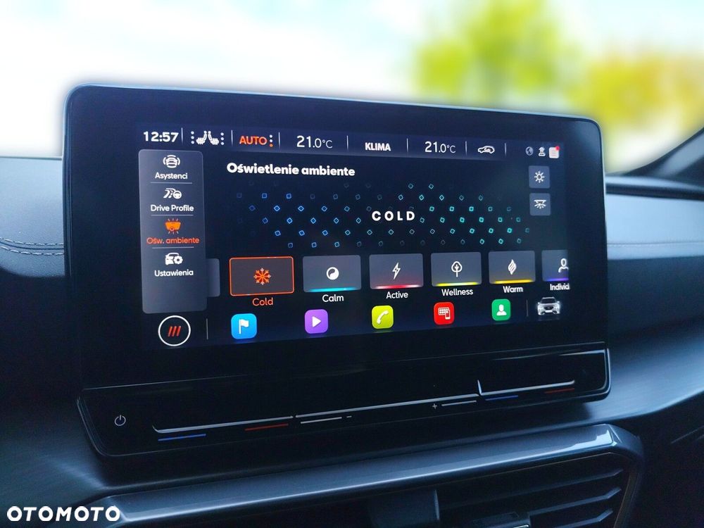 Cupra Formentor 1.5 TSI DSG - 30