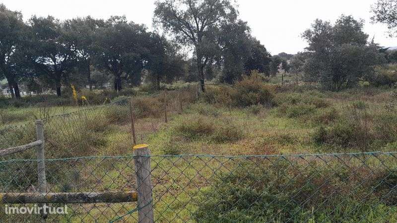Terreno em Azeitão - Grande imagem: 2/3