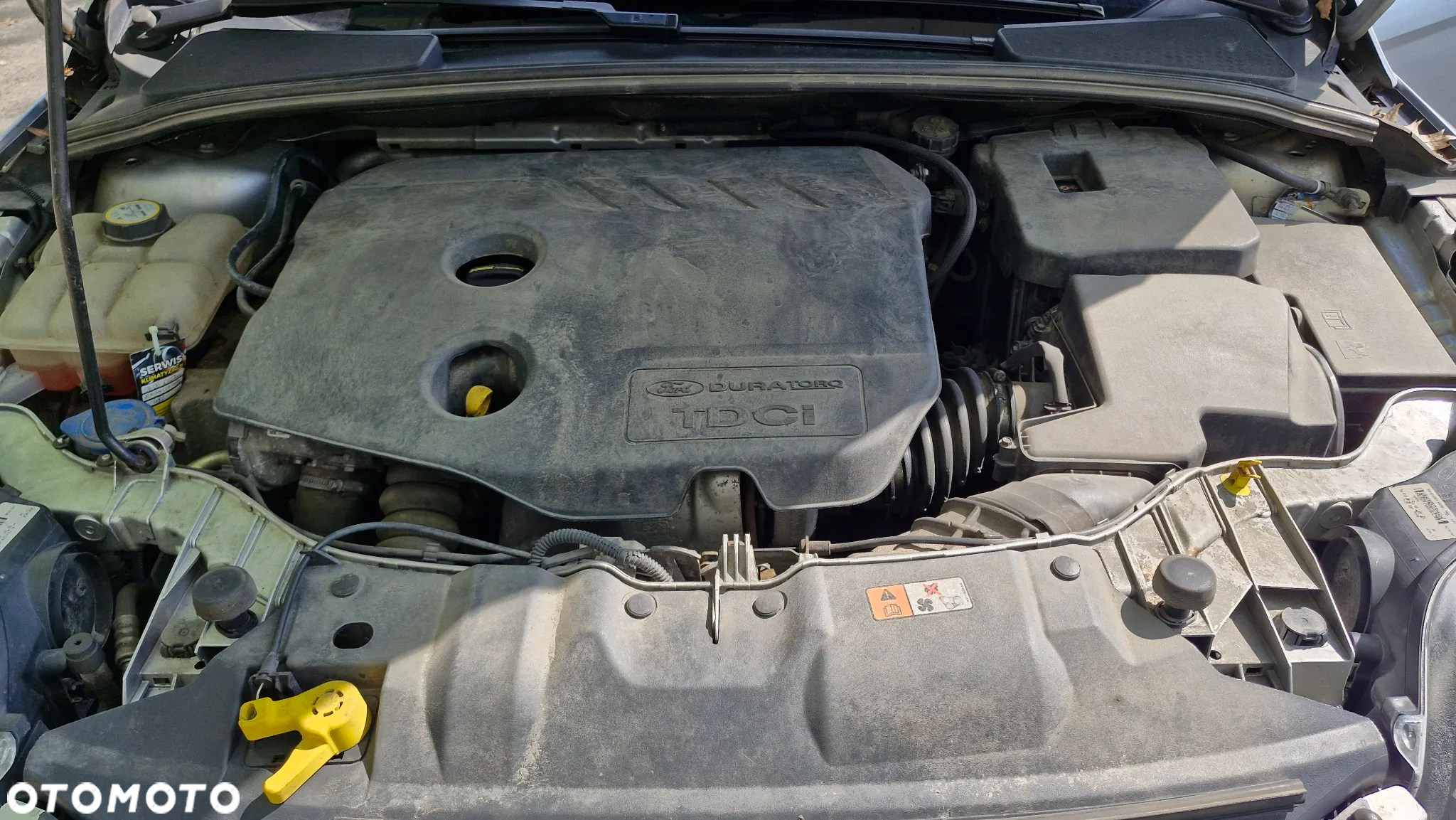 Ford Focus 1.6 TDCi Trend - 8