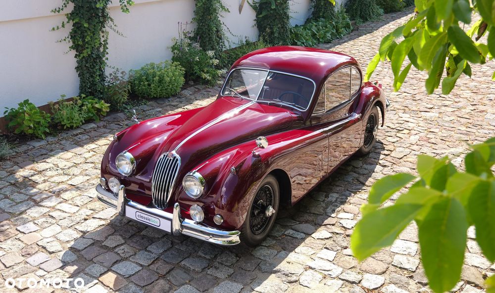 Jaguar XK - 3