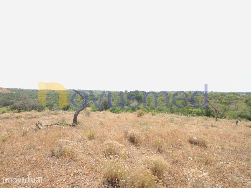 Casas antigas Albufeira - Grande imagem: 4/19