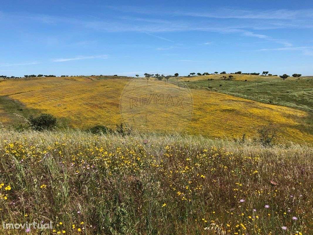 Quinta T6 para venda - Grande imagem: 5/20