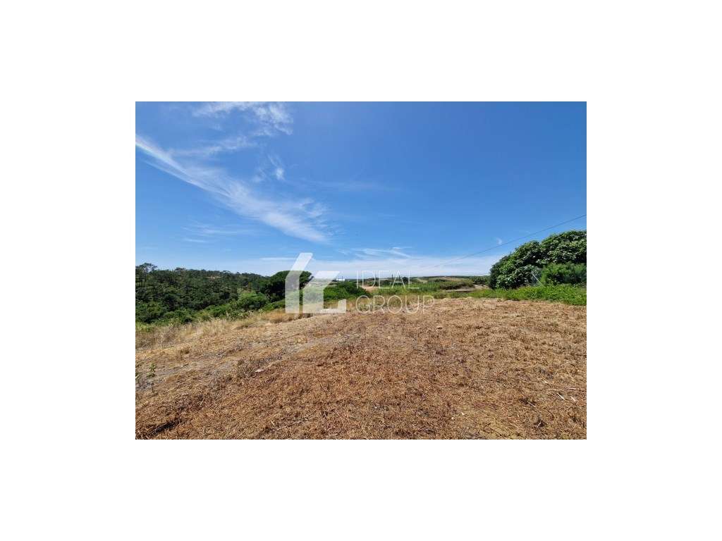 Terreno para Venda - Maceira / Torres Vedras - Grande imagem: 2/3