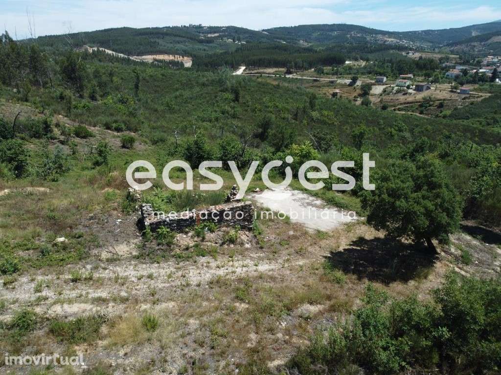 Terreno com 13440 m2, com projeto aprovado para moradia T3 em Côja - Grande imagem: 4/19