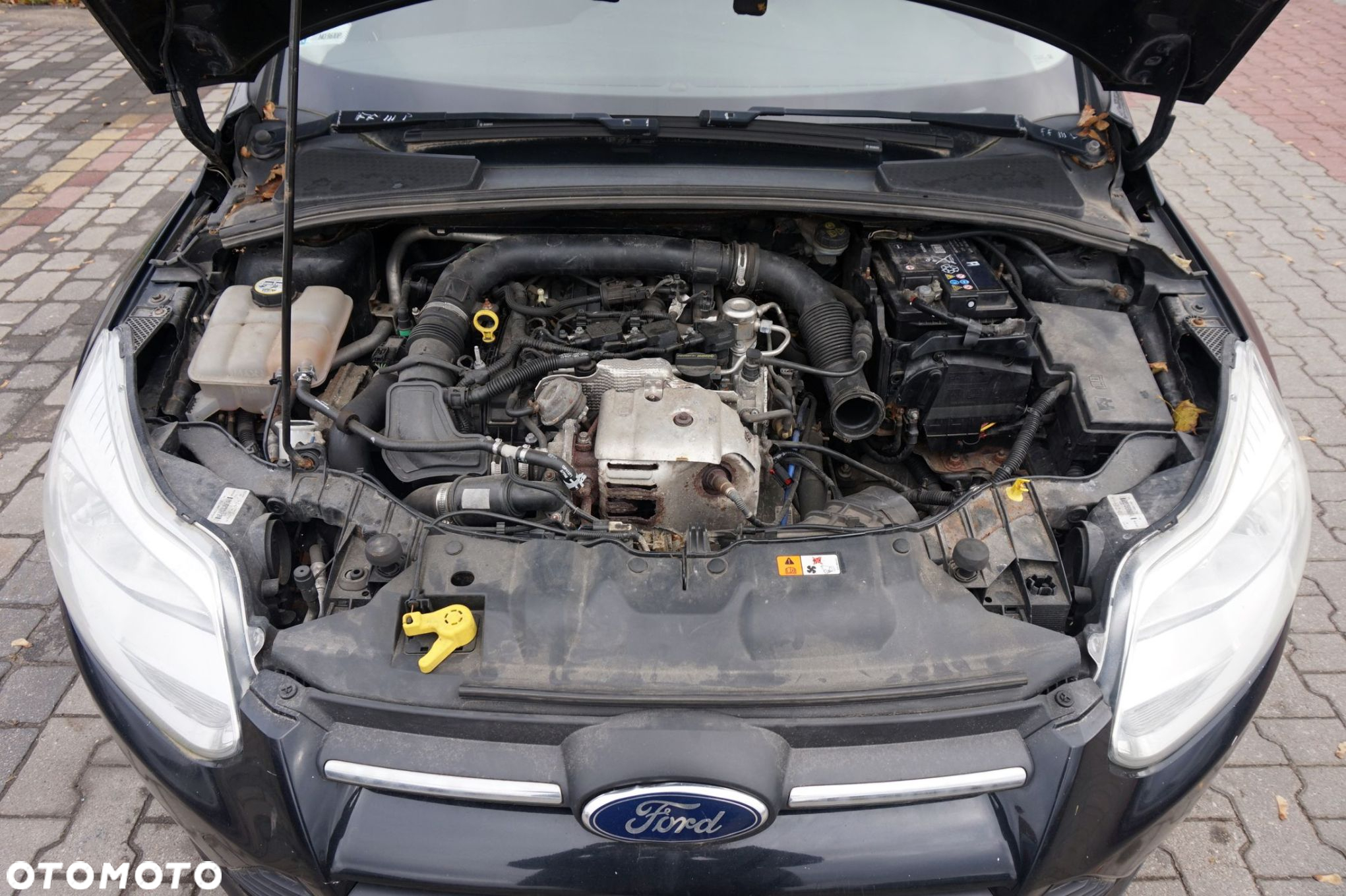 FORD FOCUS III MK3 5D HB 2012 FB 1.0 12V M2DA 100KM B5/IB5 4.25 CZARNY PANTHER na części - 9