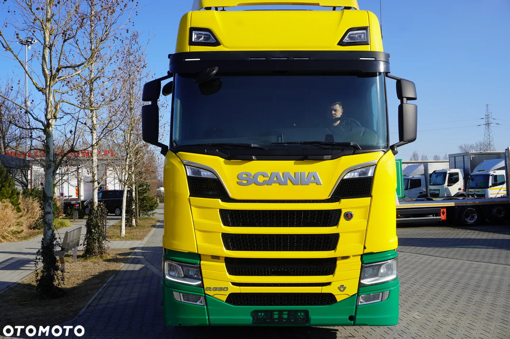 Scania R650 V8 8x4/4 E6 / r.2020 - 3