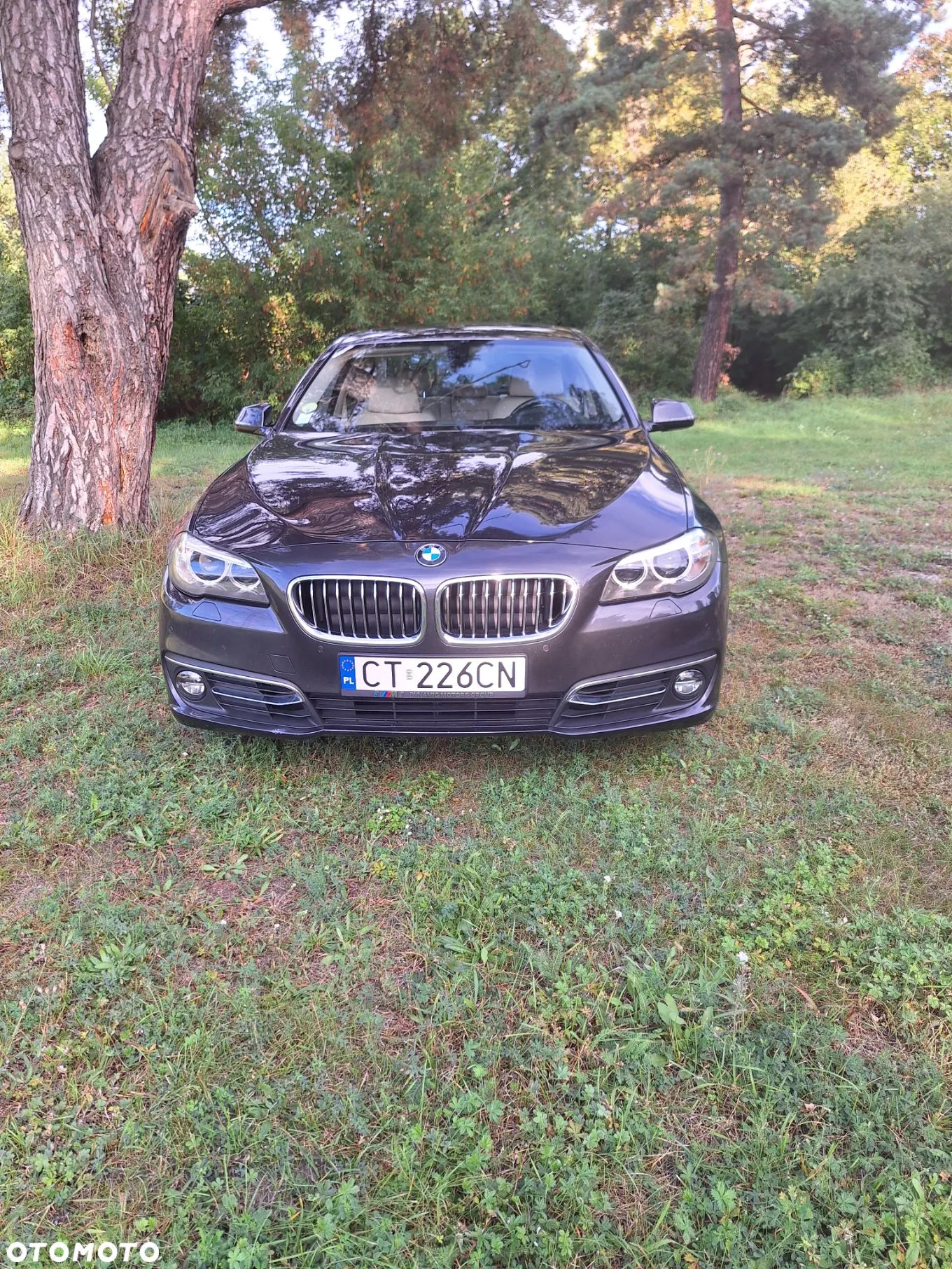 BMW Seria 5 520d xDrive Luxury Line - 1