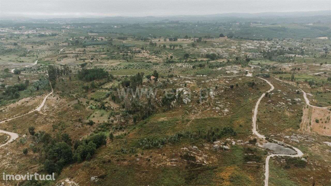 Quinta / Seia, Sameice e Santa Eulália - Grande imagem: 3/20
