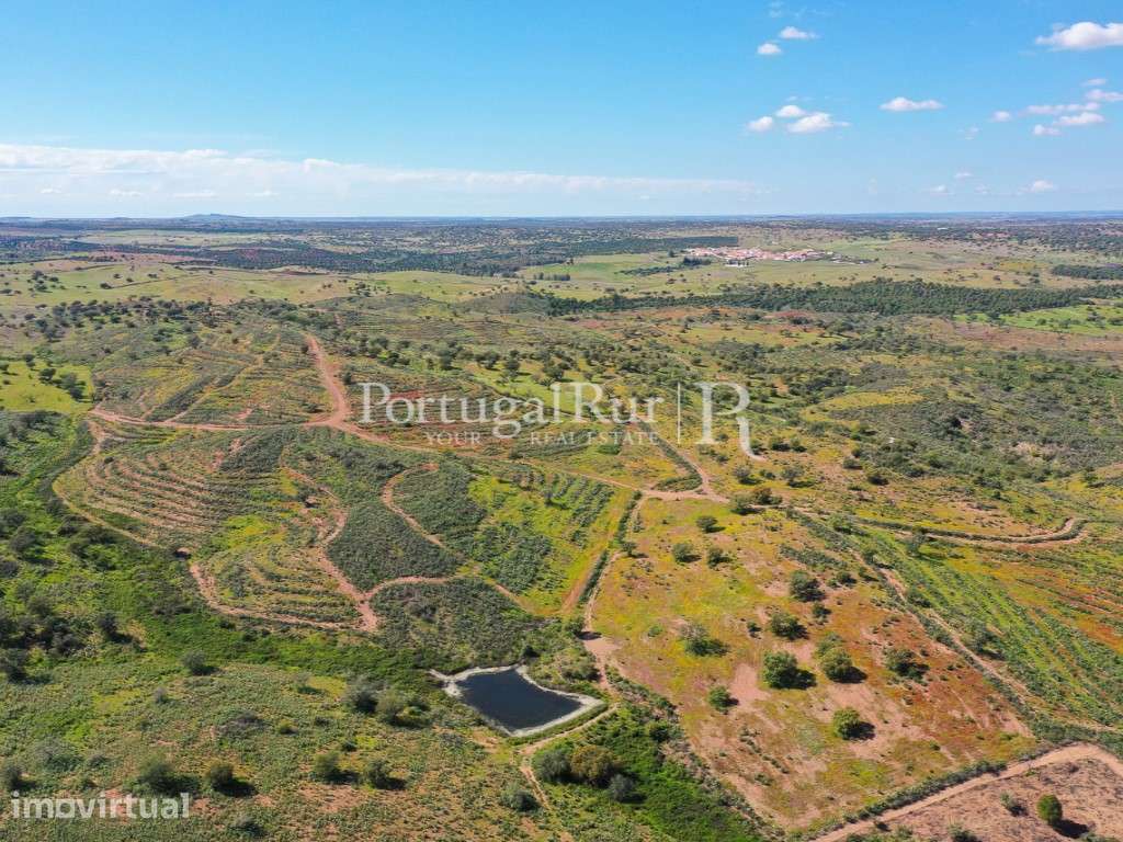 Herdades de Caça com 1300 Hectares, junto do rio Guadiana - Grande imagem: 3/60