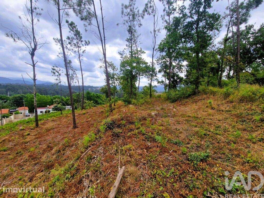 Terreno Agrícola em Lanheses - Grande imagem: 5/21