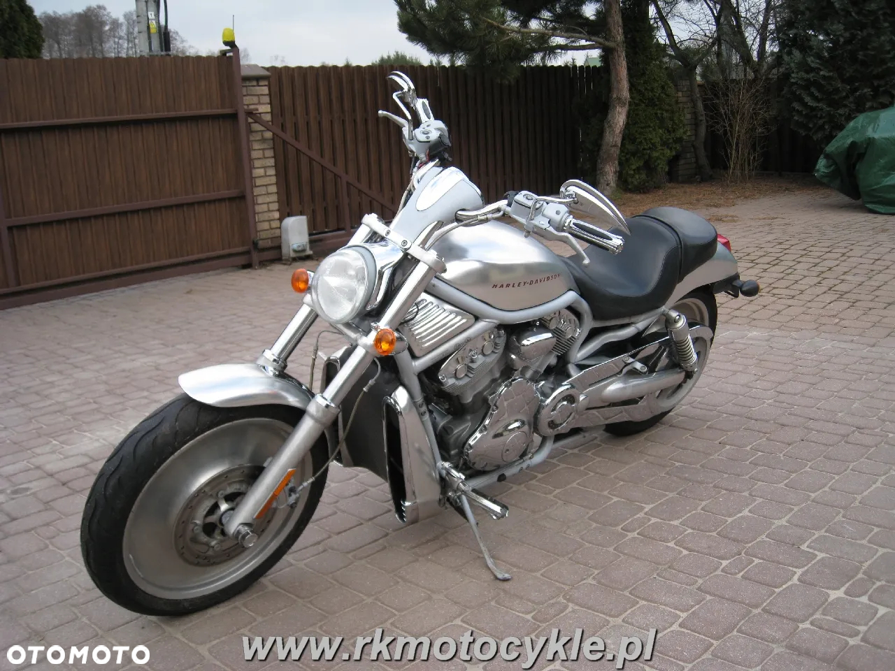 Harley-Davidson Softail V-Rod - 7