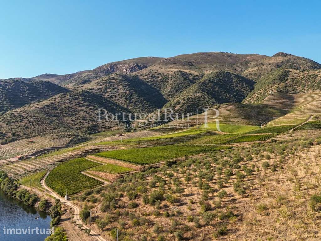 Quinta no Douro junto ao Rio com 3 construções - Grande imagem: 4/50