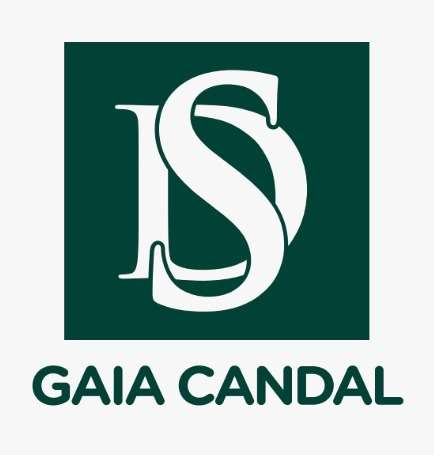 Decisões e Soluções Gaia Candal