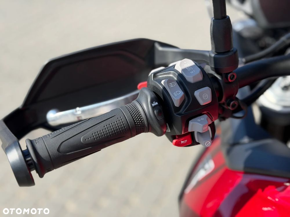 Triumph Tiger - 20