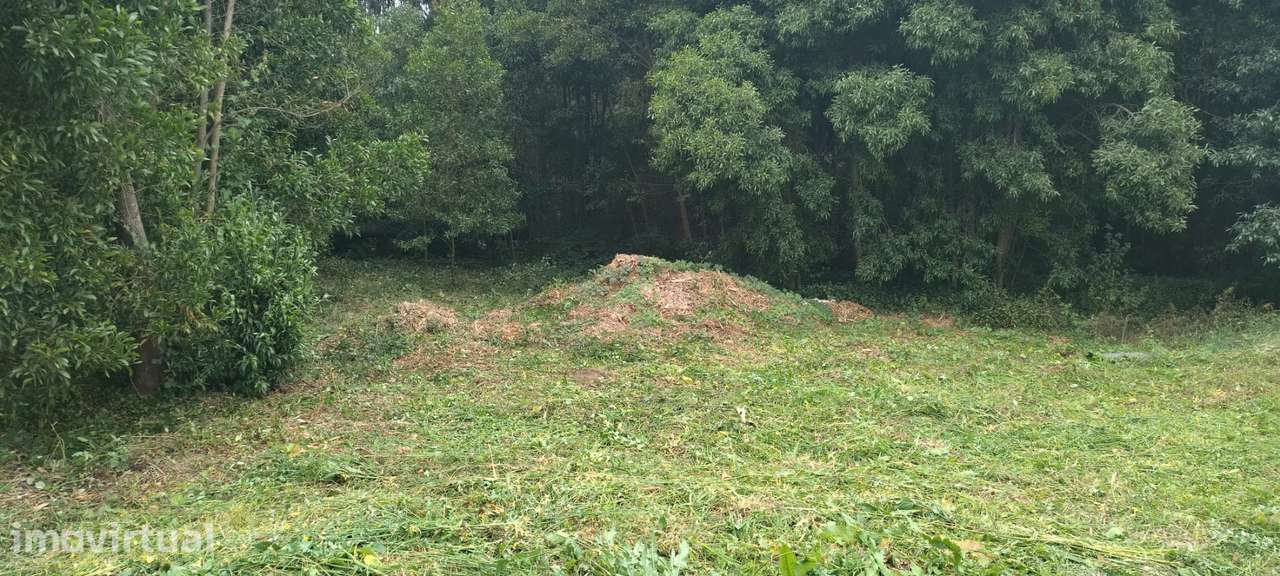 Terreno em Águeda com 7000 m² - Grande imagem: 2/4