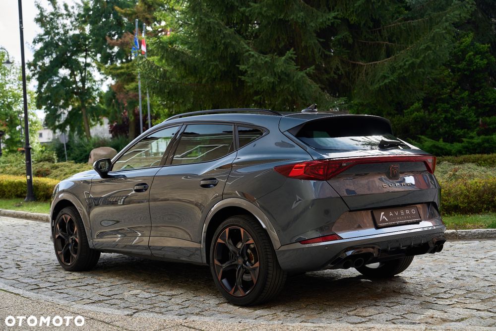 Cupra Formentor 2.0 TSI 4Drive VZ DSG - 16