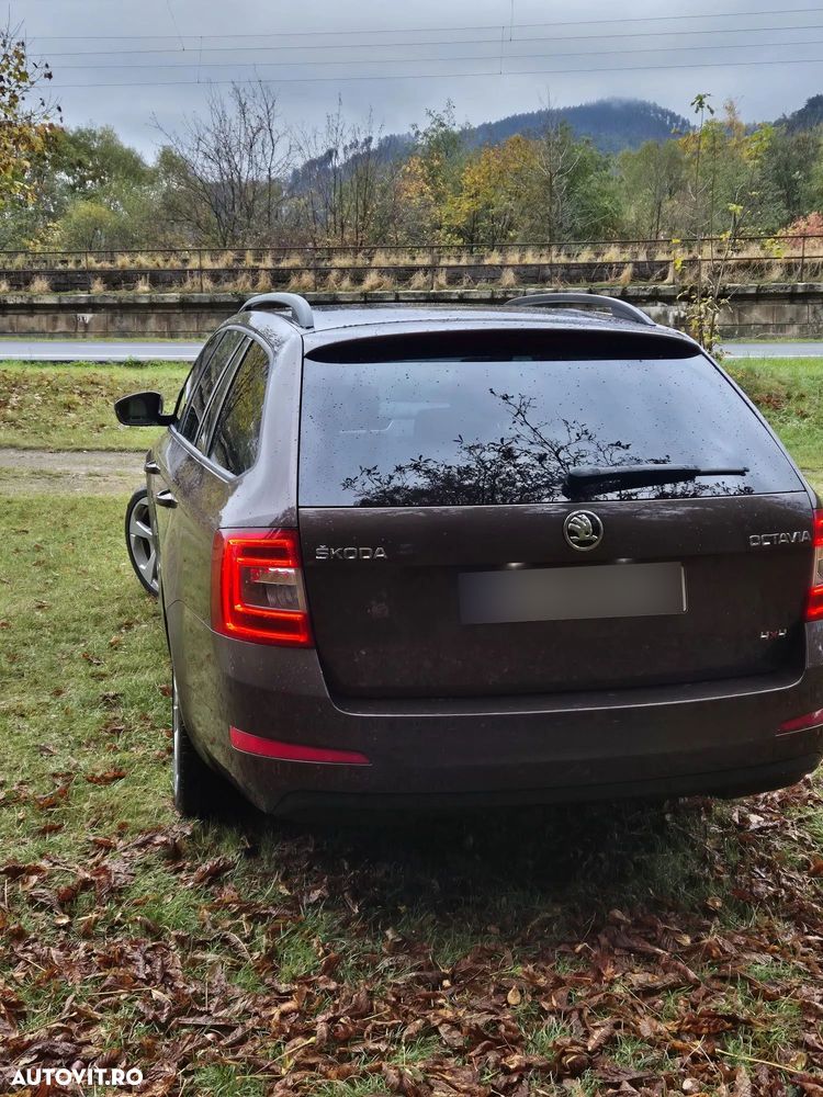 Skoda Octavia - 13