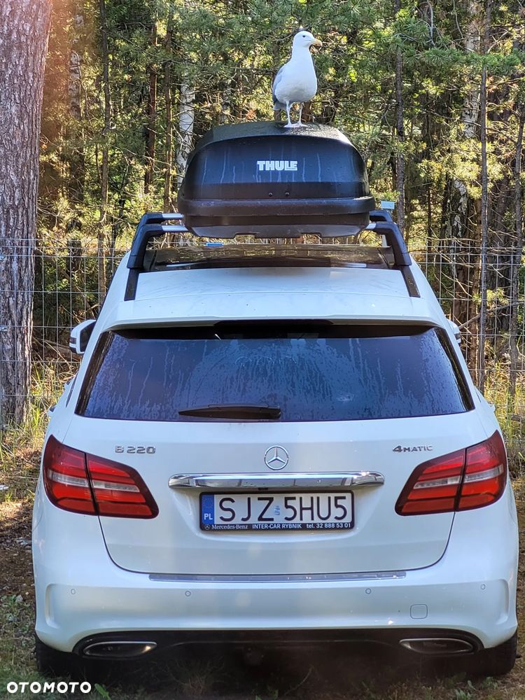 Mercedes-Benz Klasa B 220 4-Matic AMG Line - 6
