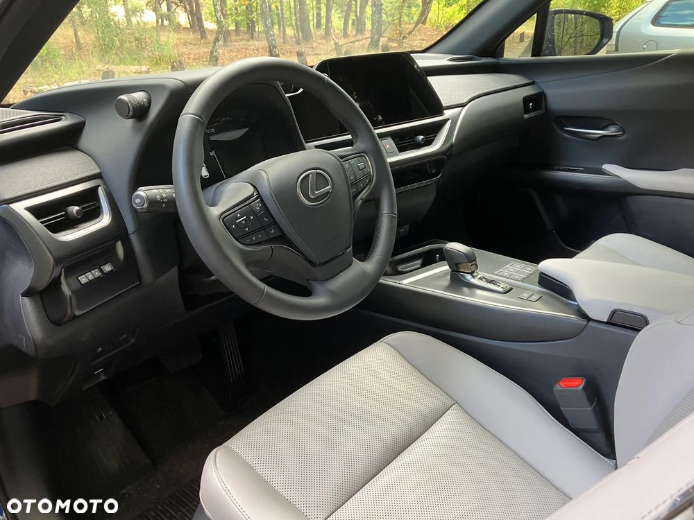 Lexus UX 300h - 17