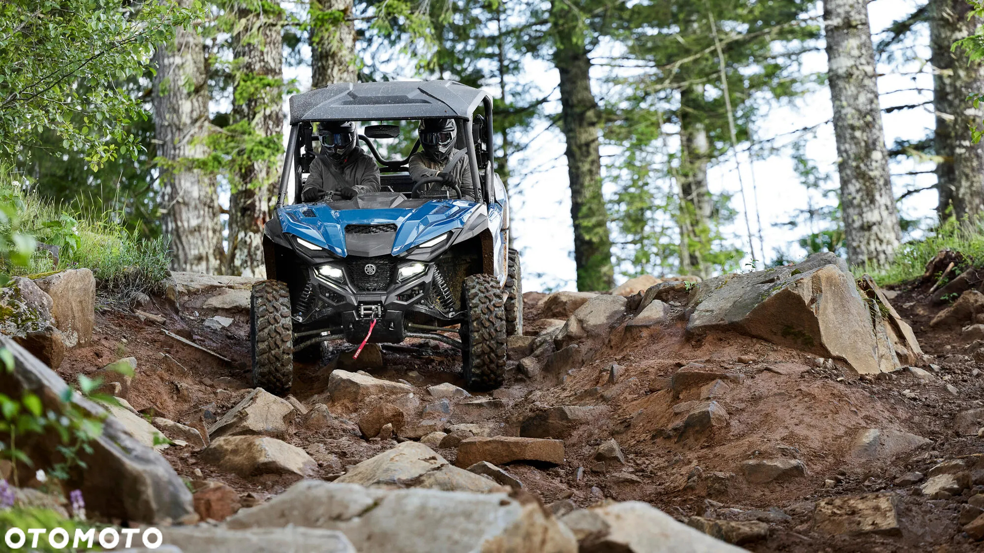 Yamaha Wolverine - 5