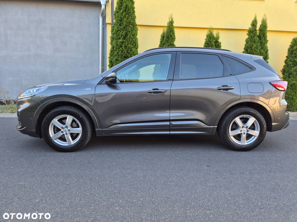 Ford Kuga 2.0 EcoBlue 4x4 ST-LINE - 5